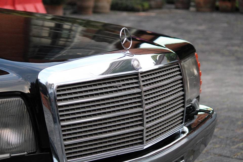 Siempre Mercedes Benz
