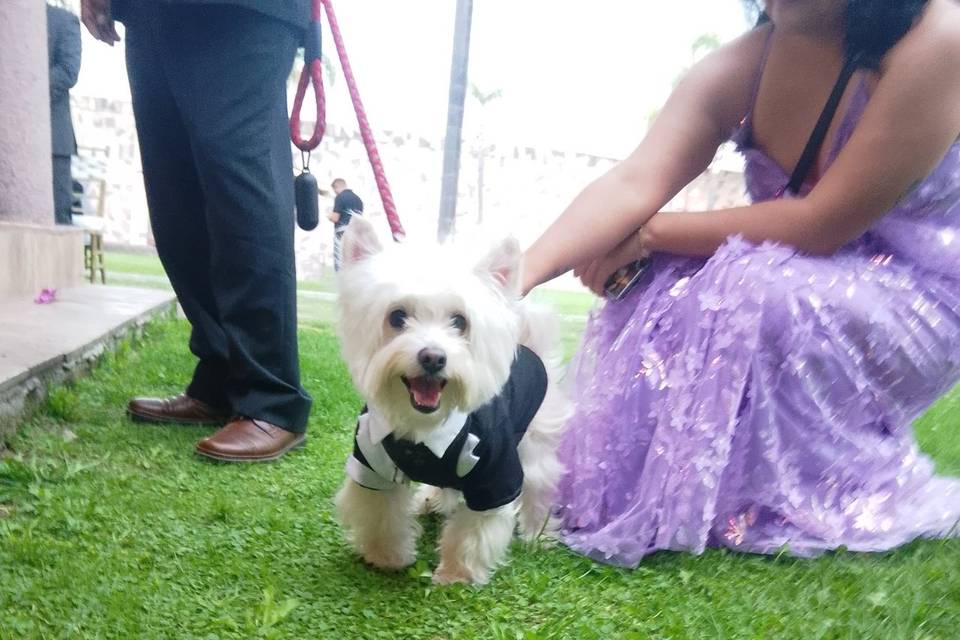 Invitado especial