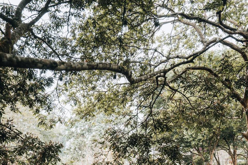 Espacio para fotos 2