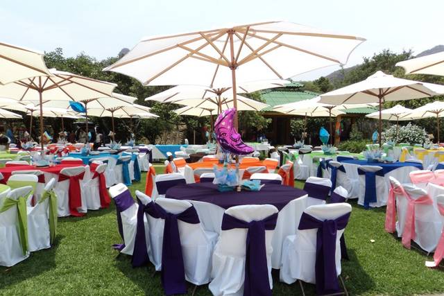 Bodas