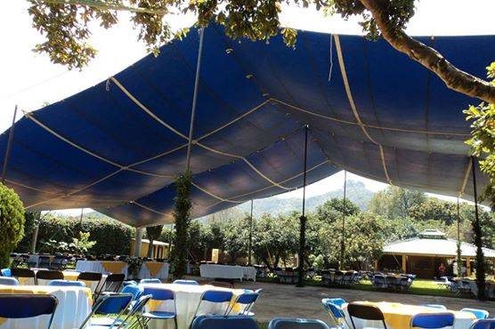 Carpas