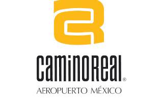 Hotel Camino Real Aeropuerto México