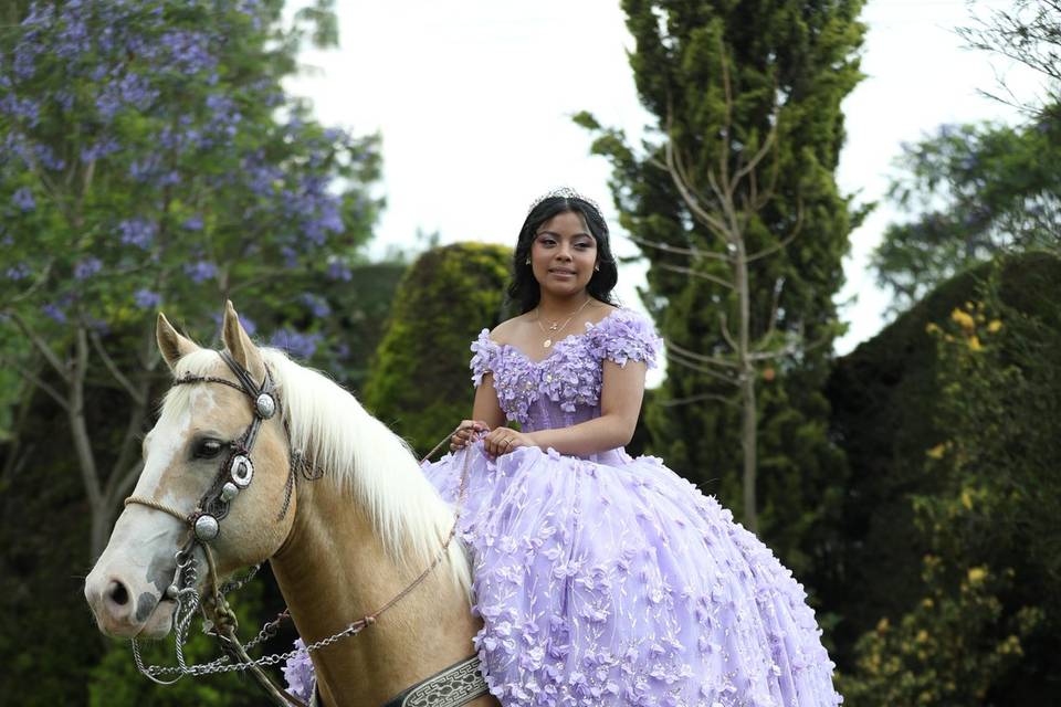 Fotos en jardín