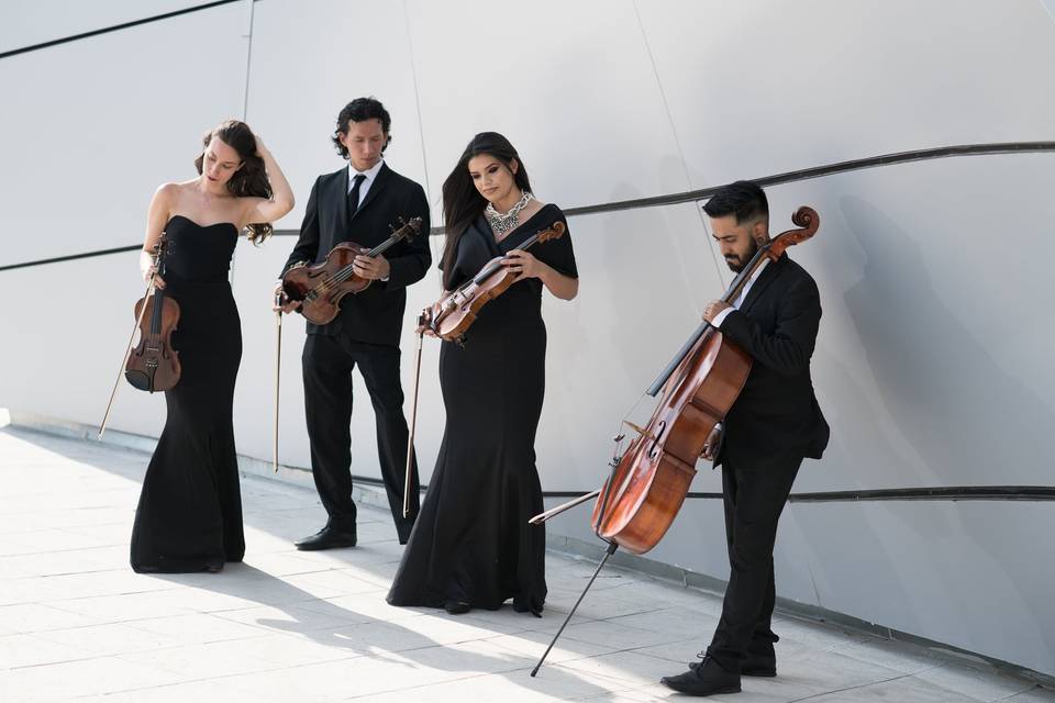 Elegante cuarteto de cuerdas