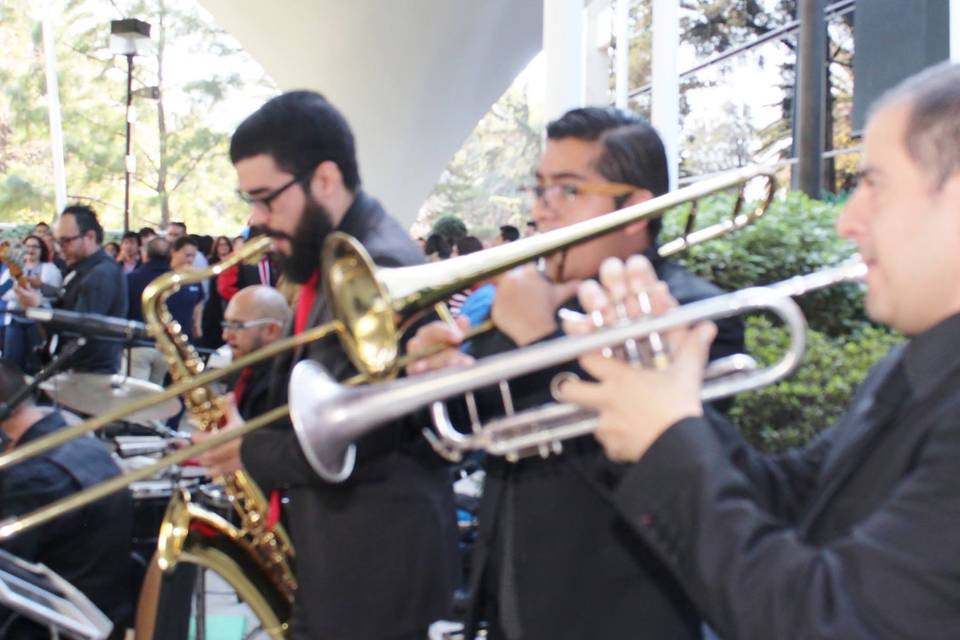 Café con leche mx orchestra