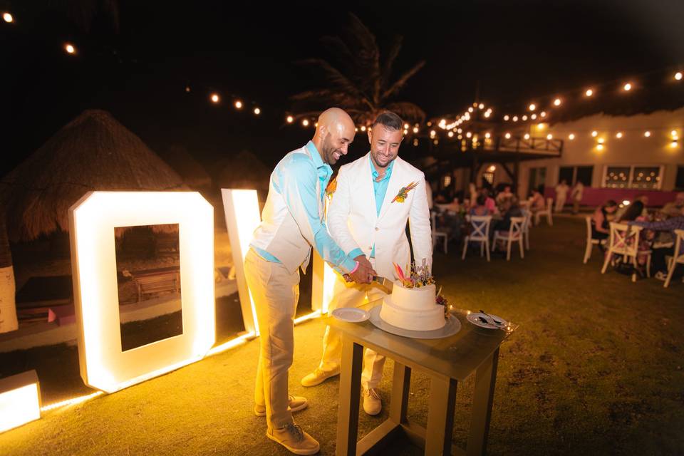 Cake cut