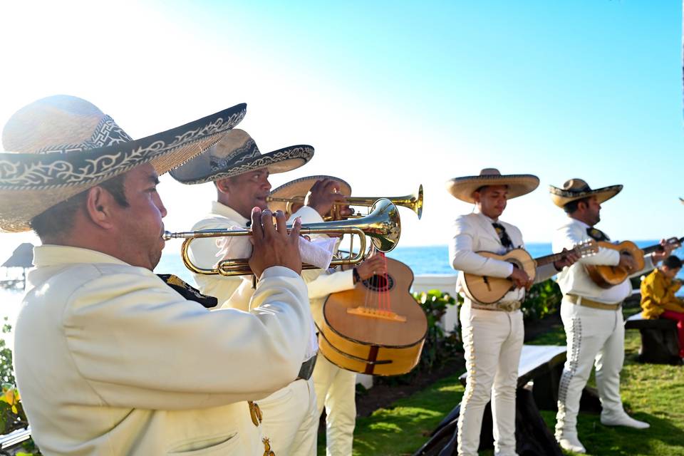 Mariachi