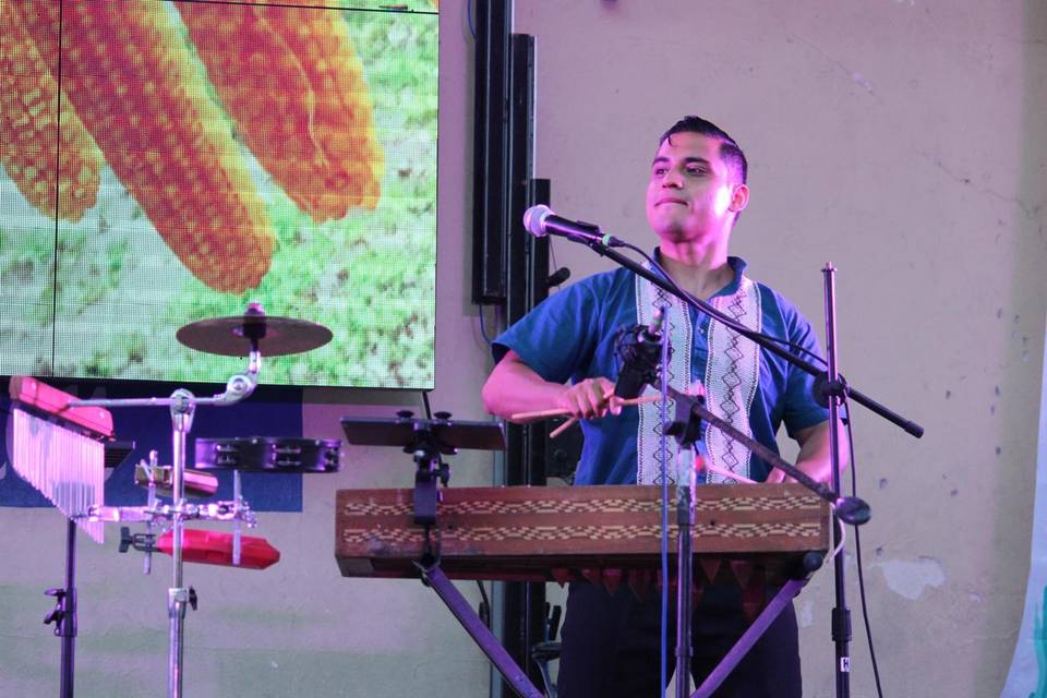 Takkar Marimba