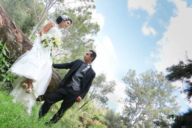 Bodas