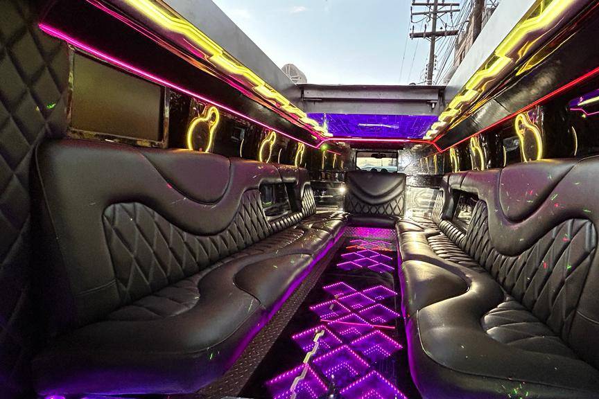 Interiores piel negra