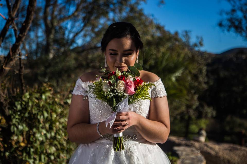 Sesión pre-boda