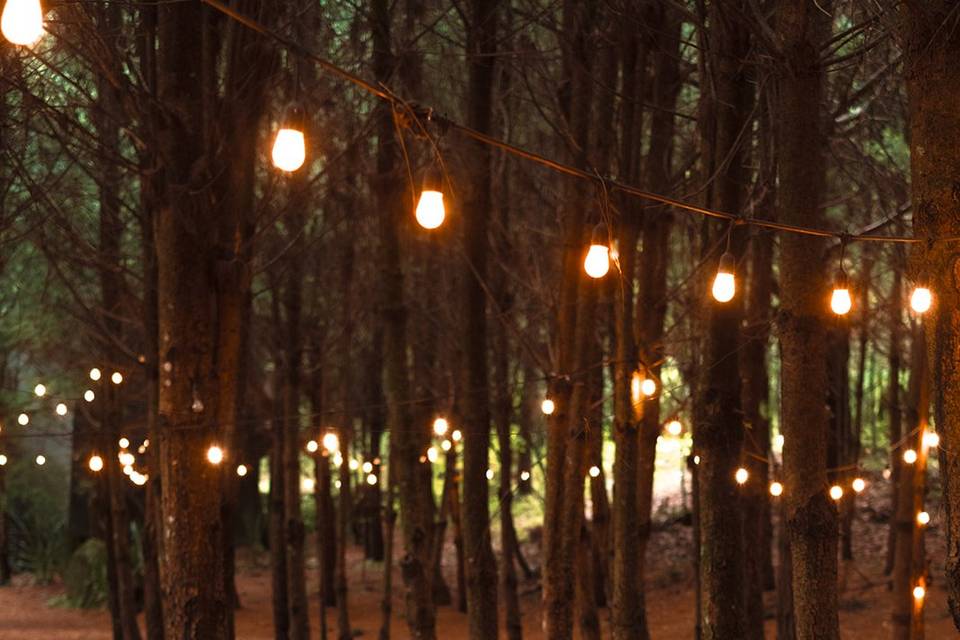 Place cards