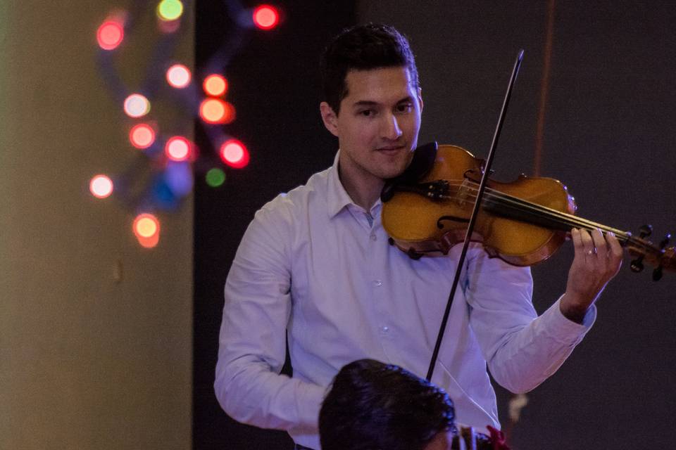 Violinista profesional