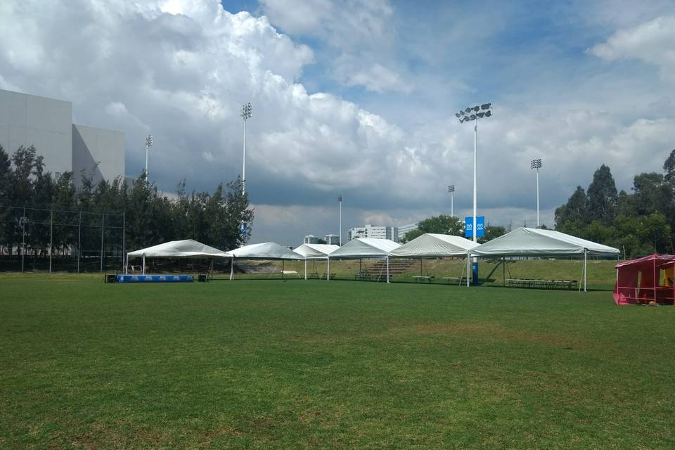 Carpa en jardín