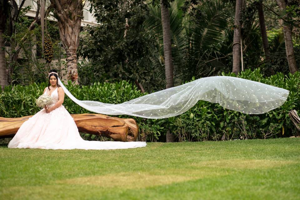 Boda Puerto Vallarta