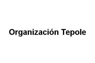 Organización Tepole
