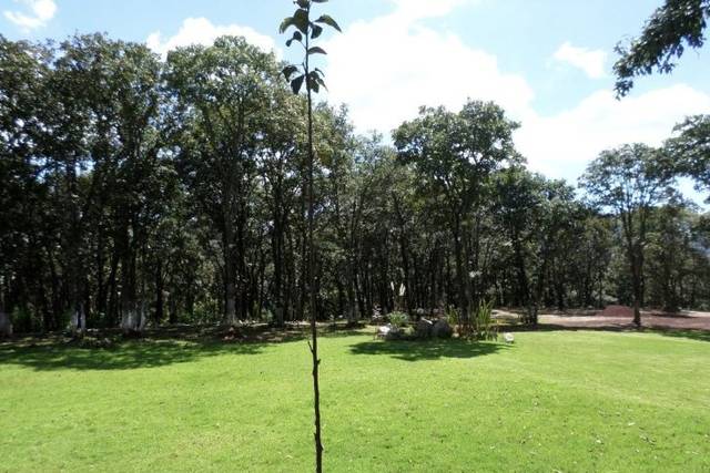 Capacidad: más de 1000
