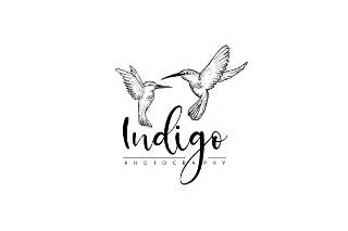 Logo Indigo