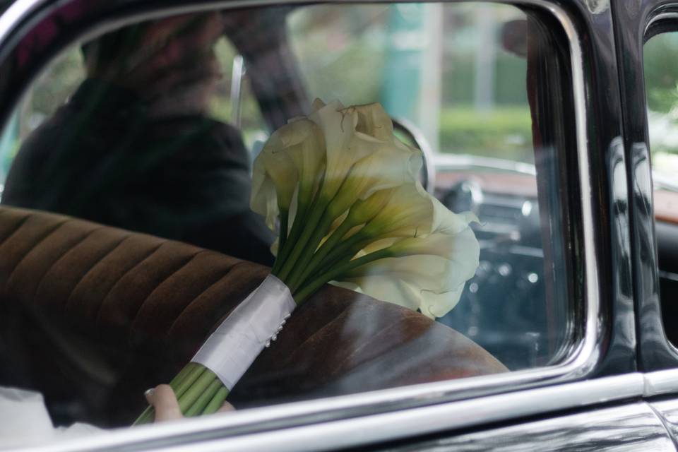 Boda Vivían y Agustín