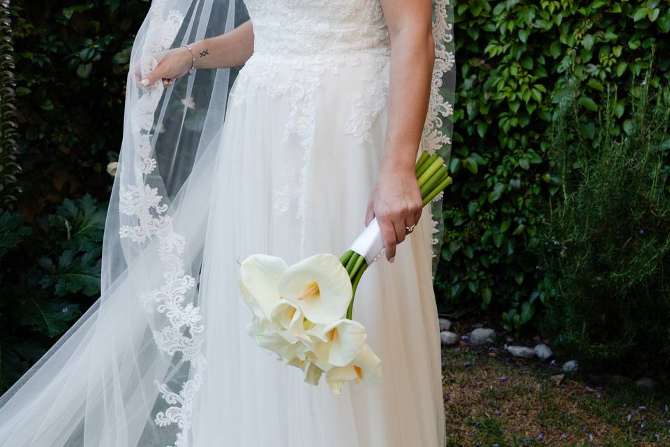Boda Vivían y Agustín