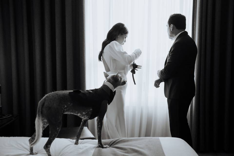 Boda Zeltzin y Gustavo