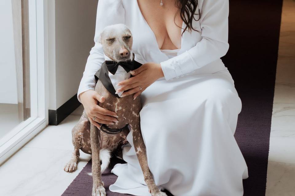 Boda Zeltzin y Gustavo