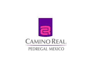 Hotel Camino Real Pedregal