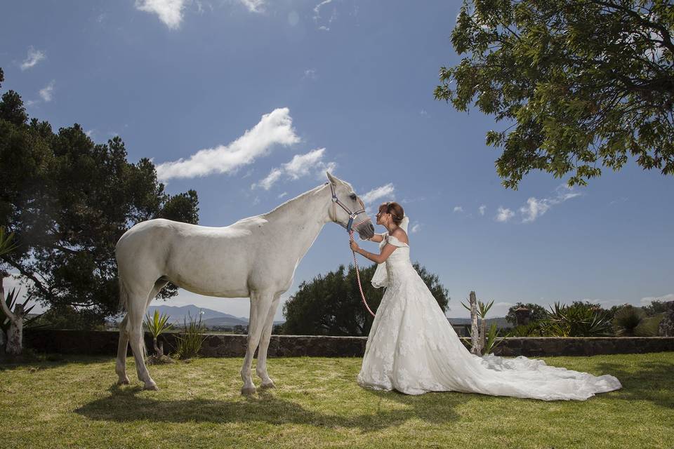 Novia y caballo