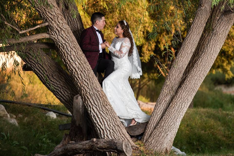 Beso en un árbol