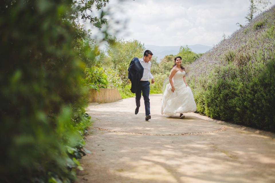 Trash the dress