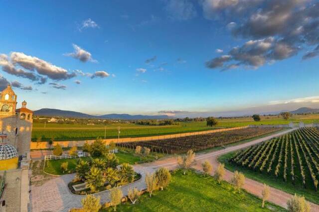 Vista al campo
