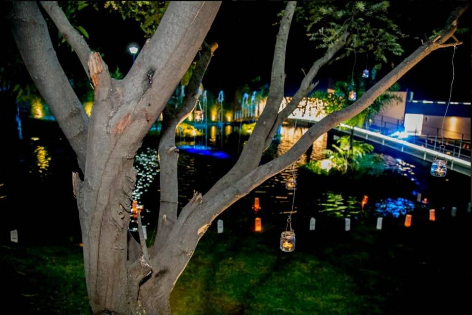 Jardín de eventos