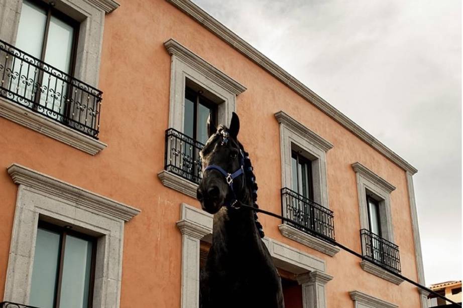 Antiguo hípico las haras