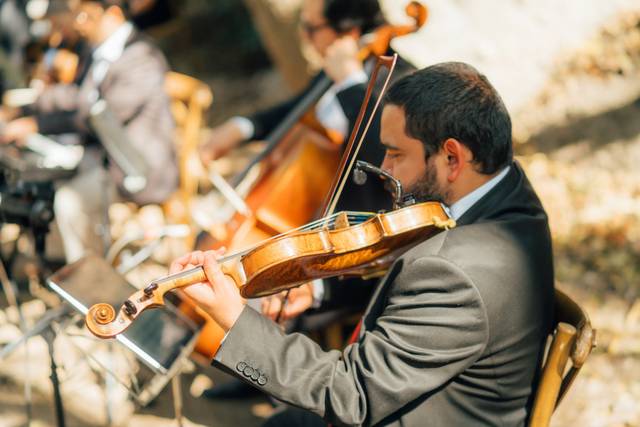 Cuarteto de Cuerdas