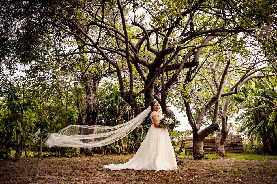 Boda Angélica & Antonio