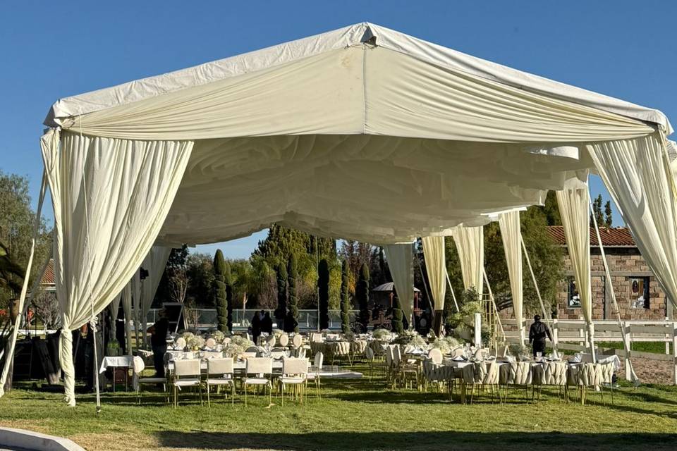 Boda y&f