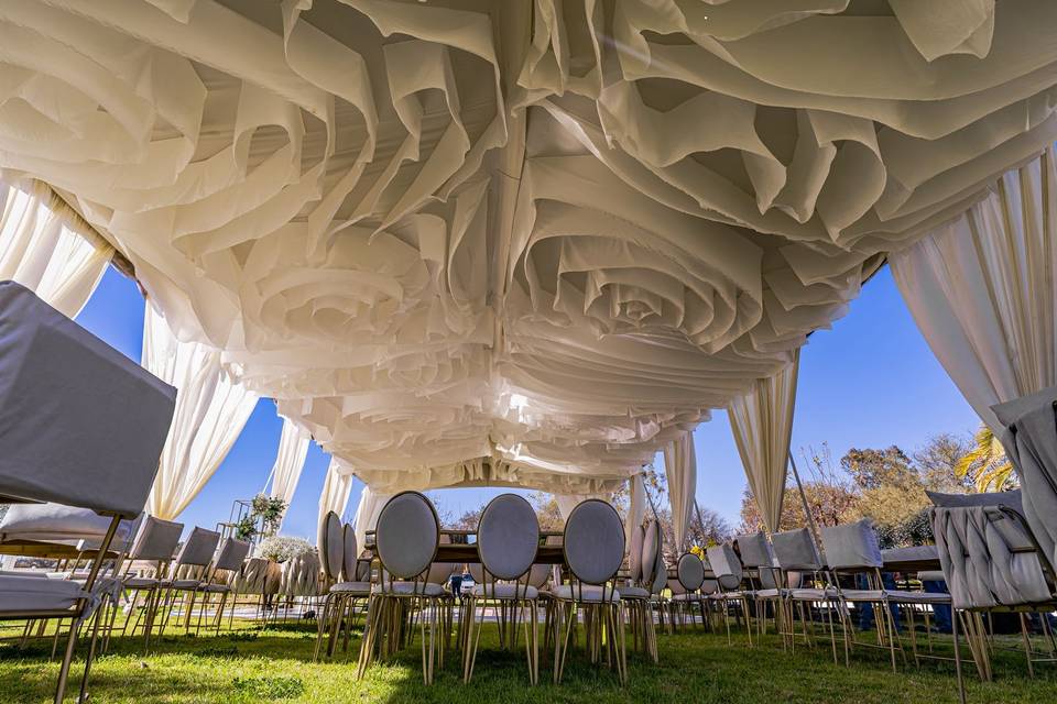 Boda y&f