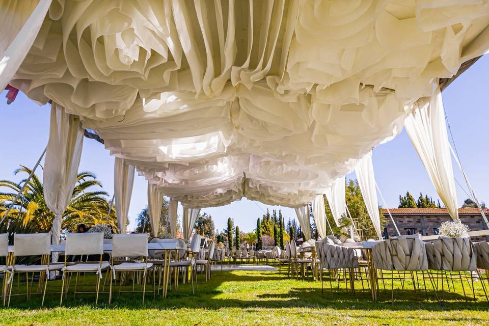 Boda y&f