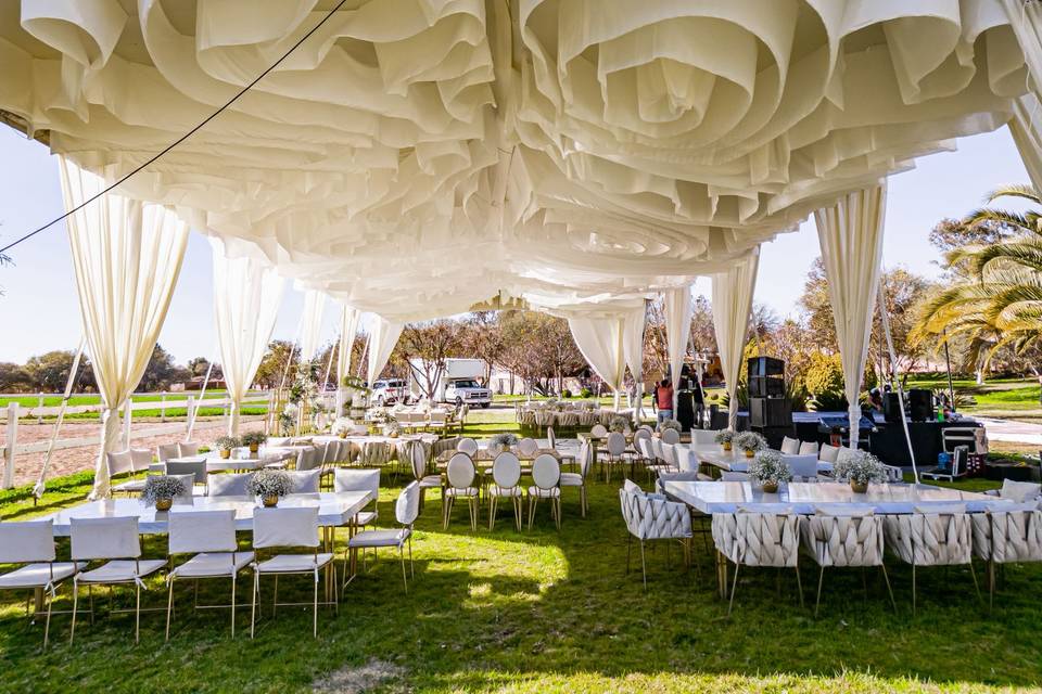 Boda y&f