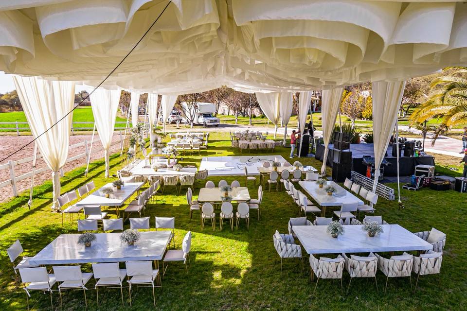 Boda y&f