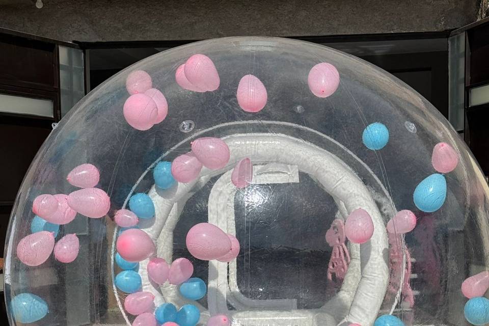 Bubble house