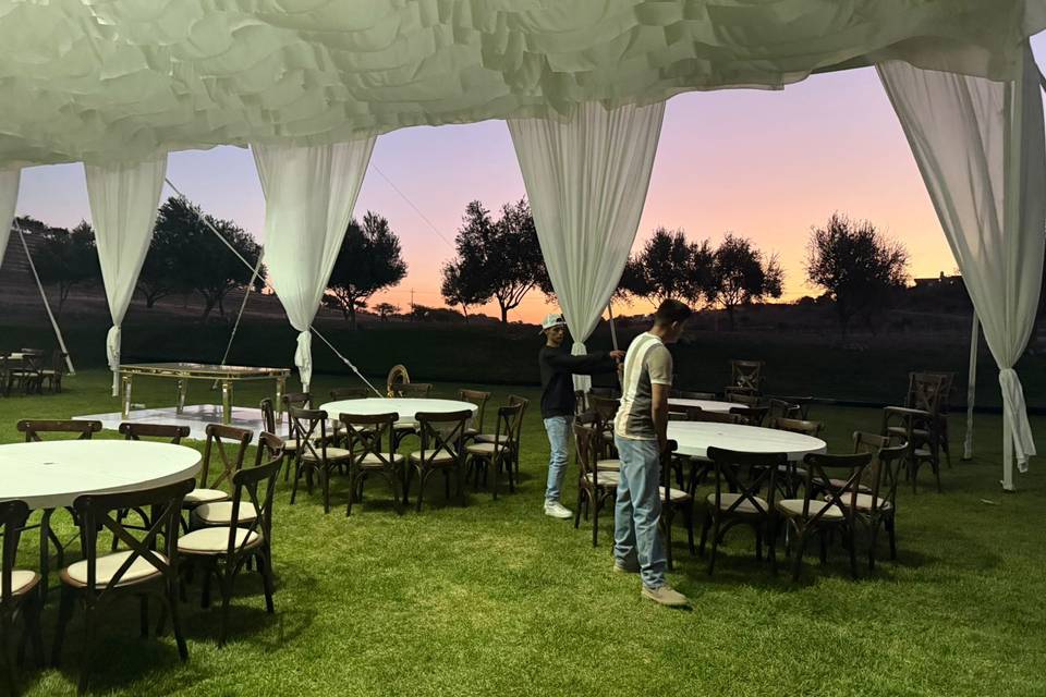 Boda y&f