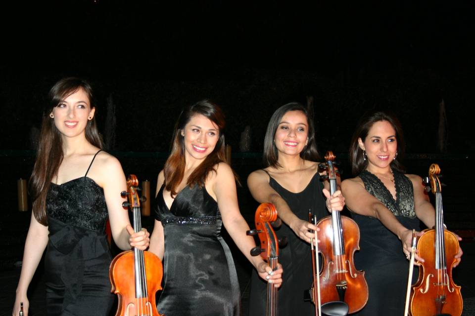 Domina String Quartet