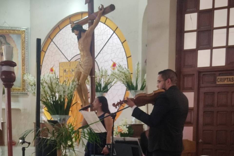 Violinista
