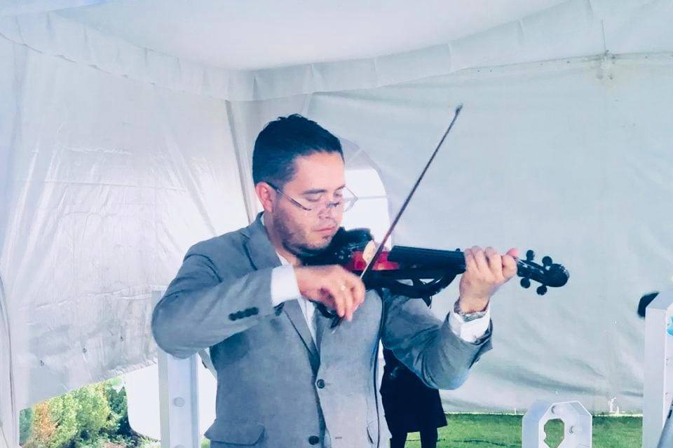 Violinista