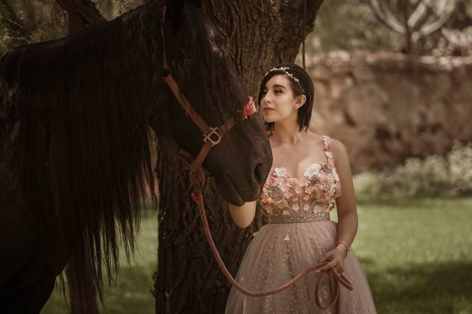 Sesión Quinceañera