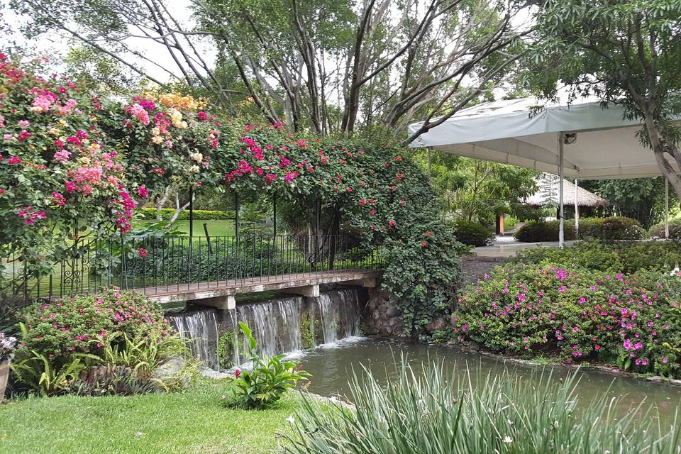 Hermosos jardines