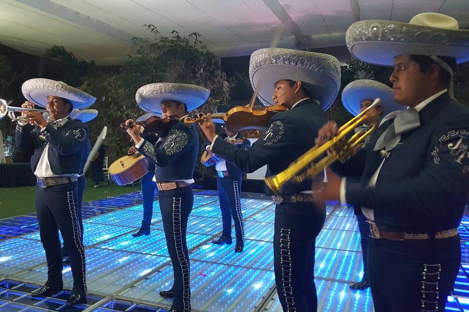 Mariachis y cantantes