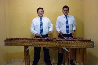 Marimba Premier