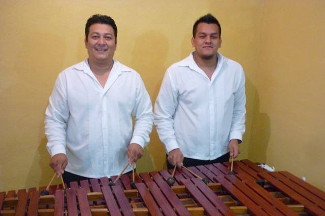 Marimba musicos profesionales